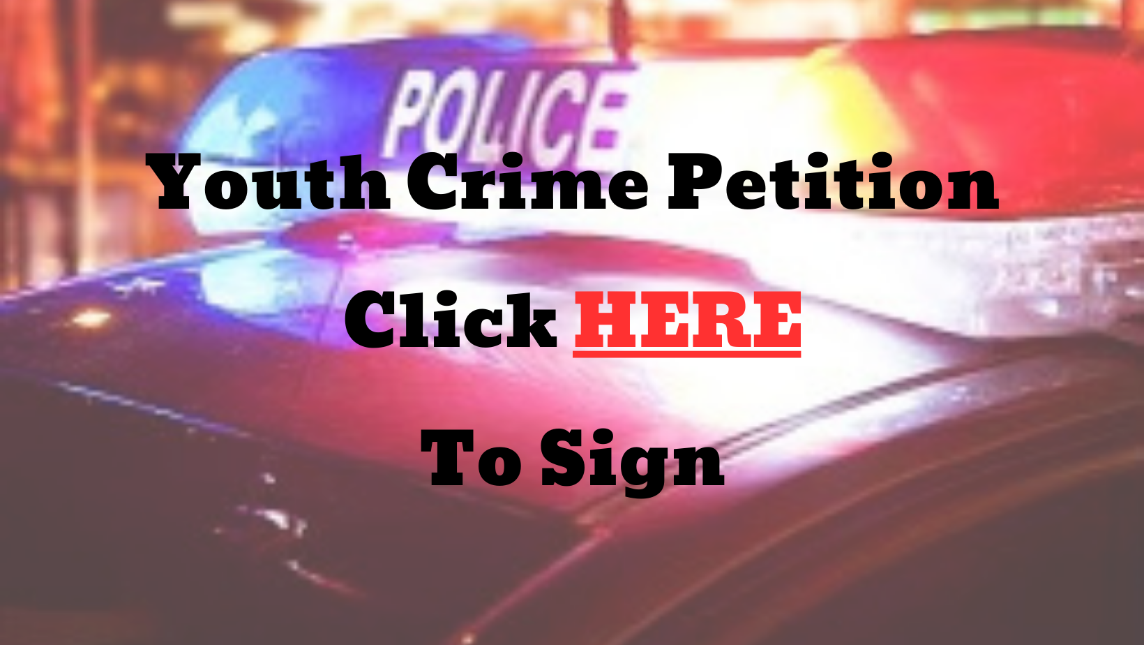 Youth Crime e-Petition